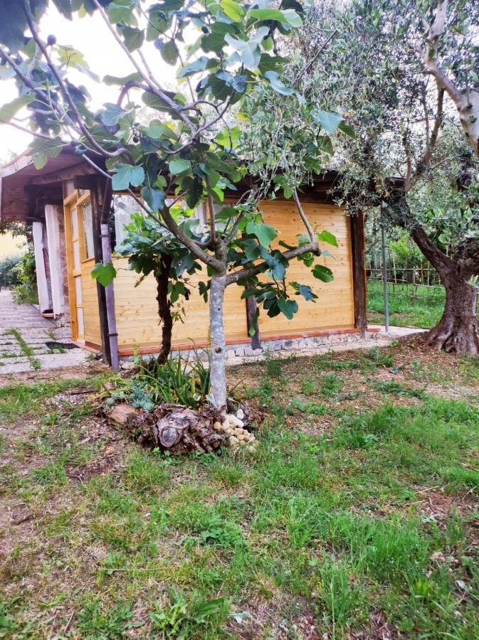 Casetta Dei Sogni Έμπολι Εξωτερικό φωτογραφία